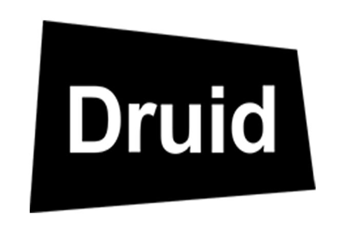 Druid Software