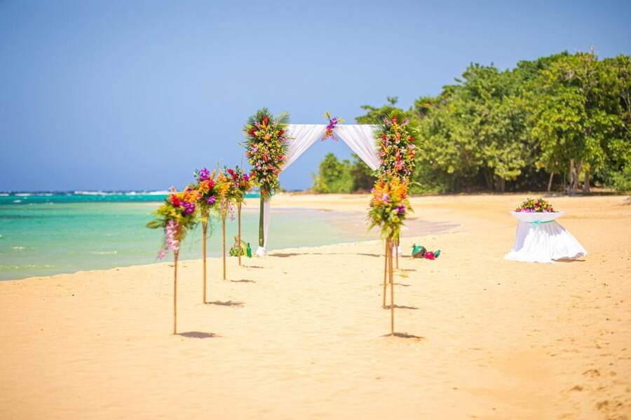 Jamaican PM Andrew Holness Invites Indian Investors & Wedding Planners to Explore Jamaica