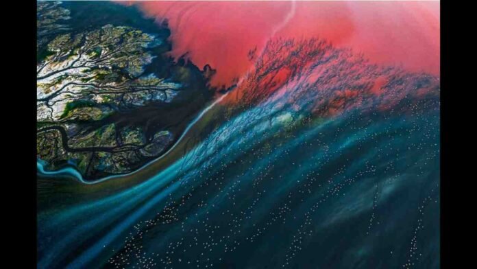 ZIPA 2025 Concludes Inaugural Edition with 350+ Photographers from 30 Countries