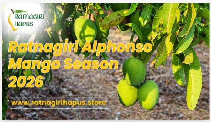 Alphonso mango, Ratnagiri Alphonso mango, Buy Alphonso mango online, Alphonso mango delivery in India, Alphonso Season 2026,